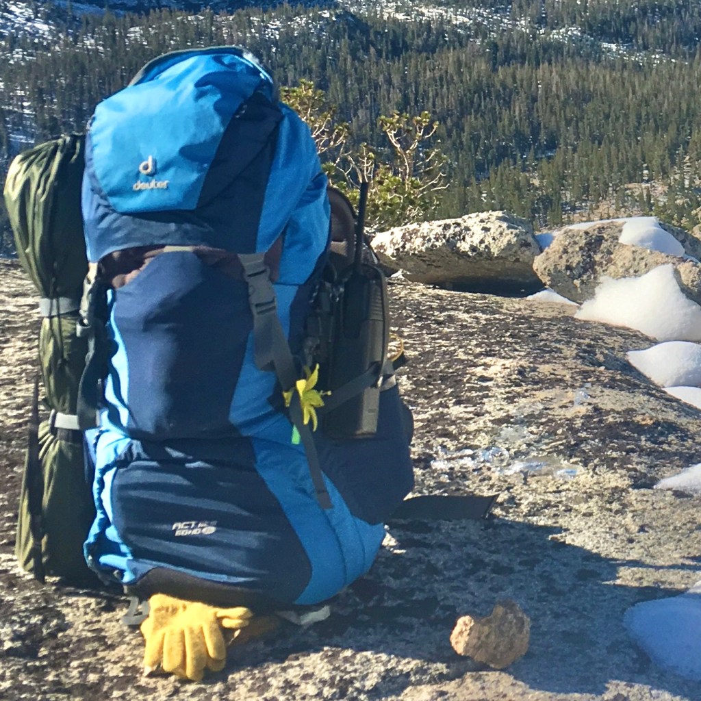 Stolen blue women's Deuter ACT Lite 60 SL backpack, thermarest, bear vault, backpacking alcohol stove